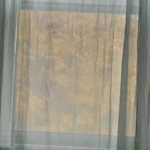 Meet your Posher, Daphnay